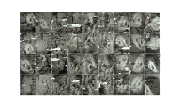 video photoemulsion art monocular baroque vision art