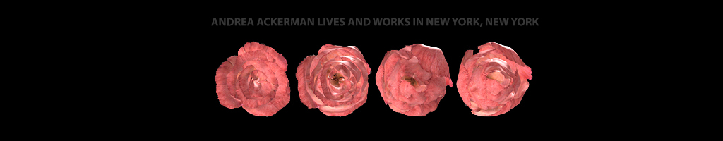 Andrea Ackerman lives and works in New York, NY