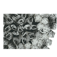 video diary complexity chaos theory fractal forgery