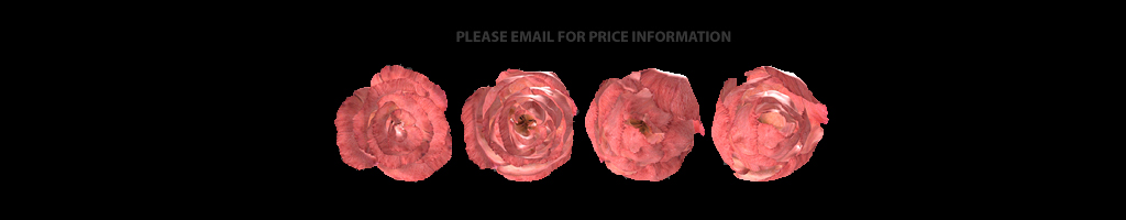 please contact Andrea for price information