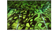 Synthetic Pond 2D digital landscape